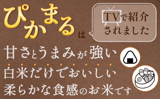 【R6年産米 定期便12回】多良木町産 『ぴかまる』 10kg(5kg×2)×12回 【計 120kg 】  定期便 定期配送 精米 お米 米 艶 粘り 甘み うま味 もちもち 熊本のお米 10キロずつ 120キロ 1年 毎月届く 熊本県 多良木町 044-0595