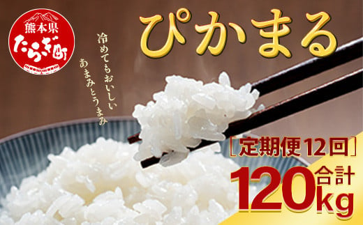 【定期便12回】多良木町産 ぴかまる（5kg×2袋）×12回 計120g 