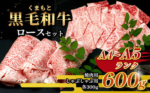 A4・A5 くまもと黒毛和牛 ロース セット 計600g ( すき焼き / 焼肉 各300g ) 