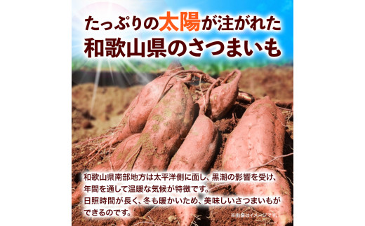 和歌山県の さつまいも 在来種【訳ありご家庭用】 5kg《12月中旬‐4月下旬頃出荷》和歌山県 日高川町 みはらファーム さつま芋 薩摩芋 わけあり さつまいも いも さつま芋 サツマイモ 訳ありさつまいも 訳ありいも 家庭用