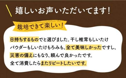 【全12回定期便】平戸きのこ乾物詰合せ　【きのこ屋】 [KAD284]