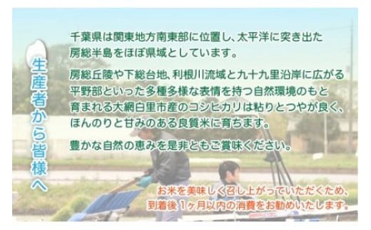 【新米】令和6年産 千葉県産コシヒカリ(精米)20kg[5kg×4袋] お米 20kg 千葉県産 大網白里市 コシヒカリ 米 精米 こめ 送料無料