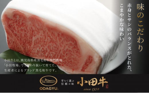 【プレミアムブランド】鹿児島県産黒毛和牛「小田牛」 牛肉100%点心セット（餃子・焼売） 総菜 餃子 ぎょうざ ギョーザ 焼売 シュウマイ 黒毛和牛 小田畜産 冷凍 南さつま市