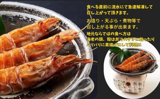 浜坂港産「がらえび」＜小サイズ＞船内冷凍500g【1453902】