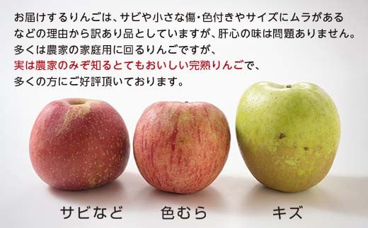 【訳あり】 青森産 完熟 りんご 約15kg サンふじ 王林 2種セット （中～大玉） 【誠果園】 青森りんご リンゴ 林檎 アップル あおもり 青森 青森県 南部町 三戸 南部 澁川賞受賞 果物 くだもの フルーツ 家庭用 わけあり ワケアリ 訳アリ 規格外品 F21U-228