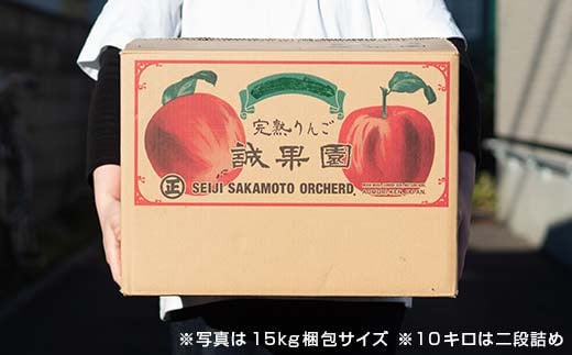 【訳あり】 青森産 完熟 りんご 約15kg サンふじ 王林 2種セット （中～大玉） 【誠果園】 青森りんご リンゴ 林檎 アップル あおもり 青森 青森県 南部町 三戸 南部 澁川賞受賞 果物 くだもの フルーツ 家庭用 わけあり ワケアリ 訳アリ 規格外品 F21U-228