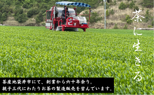 厳選　深蒸し上煎茶《薫》（80g×3袋）・上煎茶の抹茶入り玄米茶（100g×3袋）