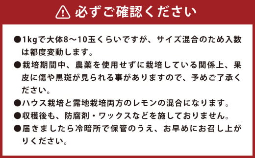 環境マイスターのレモン 訳あり 5kg