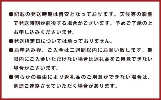 環境マイスターのレモン 訳あり 5kg