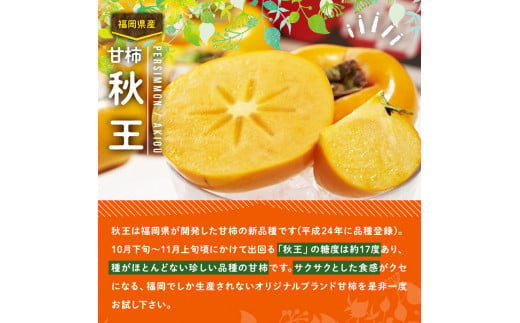 ＜先行予約受付中！2024年10月中旬から2024年11月下旬にかけて順次発送予定＞甘柿 秋王( 約1.5kg箱・4-6玉)＜離島配送不可＞【ksg0122】【南国フルーツ】