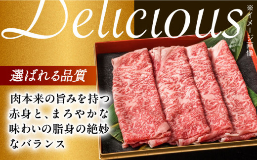 【月1回約500g×3回定期便】長崎和牛 肩ロース（すき焼き用）計1.5kg 長崎県/長崎県農協直販 [42ZZAA143]  肉 牛 和牛 ロース すき焼き 西海市 長崎 九州 定期便