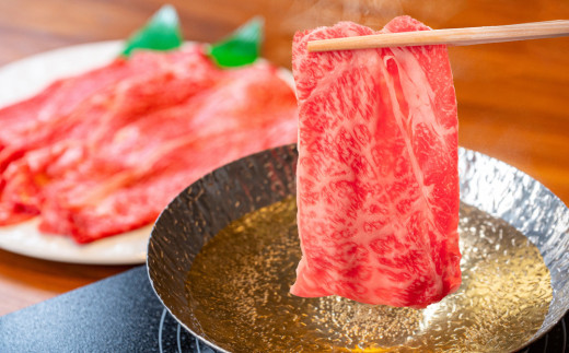 【5カ月定期便】佐賀牛 肩ローススライス500g【A4 A5 薄切り肉 牛肉 すき焼き しゃぶしゃぶ】G4-C030379