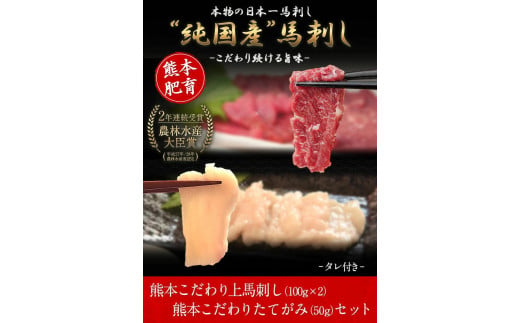 馬刺し 上赤身 ブロック 国産 熊本肥育 冷凍 生食用 たれ付き(100g×2)＋たてがみセット(50g×1) 肉 期間限定 絶品 牛肉よりヘルシー 馬肉 予約 平成27年28年 農林水産大臣賞受賞 熊本県氷川町《90日以内に出荷予定(土日祝除く)》