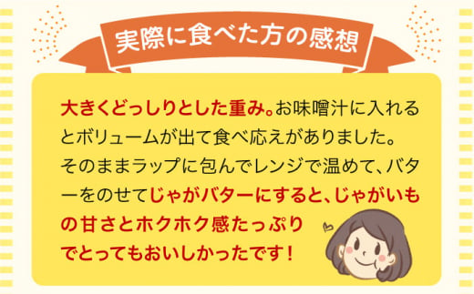 【先行予約】＜2025年5月上旬〜発送＞長崎県産 春作じゃがいも ニシユタカ 10kg 長崎県/オースタイルファーム株式会社 [42ALAD003] じゃがいも ポテト 長崎 雲仙  じゃがいも ポテト 長崎 雲仙 ジャガイモ 馬鈴薯 じゃが芋 春じゃが 野菜 産地直送 旬 いも 芋 にしゆたか サイズ混合