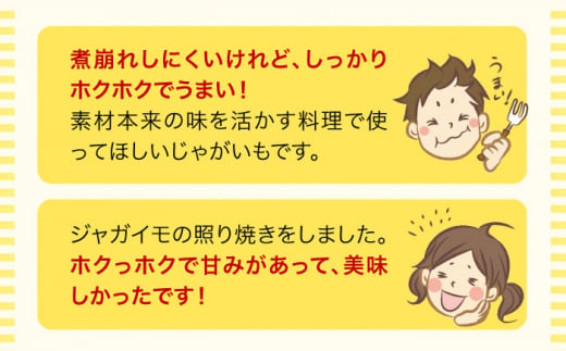 【先行予約】＜2025年5月上旬〜発送＞長崎県産 春作じゃがいも ニシユタカ 10kg 長崎県/オースタイルファーム株式会社 [42ALAD003] じゃがいも ポテト 長崎 雲仙  じゃがいも ポテト 長崎 雲仙 ジャガイモ 馬鈴薯 じゃが芋 春じゃが 野菜 産地直送 旬 いも 芋 にしゆたか サイズ混合