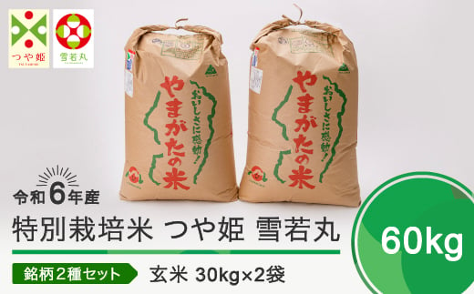 新米 令和6年12月下旬発送 つや姫 雪若丸 各30kg 計60kg 玄米 令和6年産 ja-tygxb60-12s