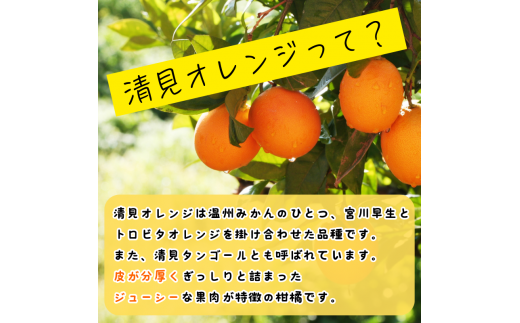 【先行予約】秀優品  清見オレンジ  3kg 【S～３Lサイズ混合】【2025年3月中旬から4月中旬頃に順次発送】/みかん 清見 和歌山 フルーツ 有田 果物 オレンジ 甘い ジューシー【agy019】