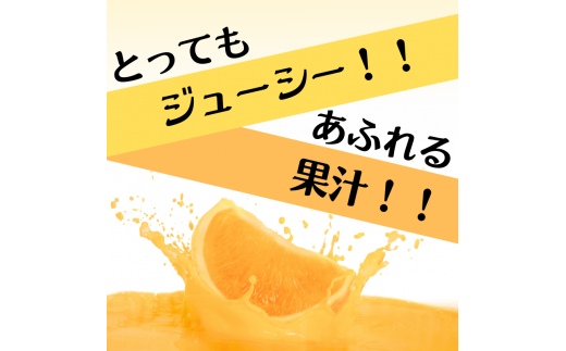 【先行予約】秀優品  清見オレンジ  3kg 【S～３Lサイズ混合】【2025年3月中旬から4月中旬頃に順次発送】/みかん 清見 和歌山 フルーツ 有田 果物 オレンジ 甘い ジューシー【agy019】