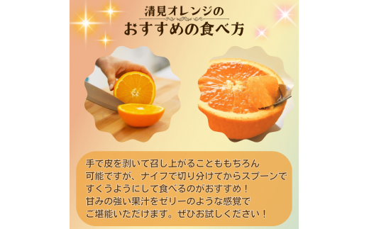 【先行予約】秀優品  清見オレンジ  3kg 【S～３Lサイズ混合】【2025年3月中旬から4月中旬頃に順次発送】/みかん 清見 和歌山 フルーツ 有田 果物 オレンジ 甘い ジューシー【agy019】