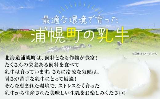 牛乳 北海道 森永北海道3.6牛乳 常温長期保存 大容量 1000ml×12本入り 1L 12L 十勝森永浦幌乳業 北海道 浦幌町 送料無料 乳 3.6 牛乳 ミルク 牛乳パック 濃厚 浦幌工場直送 常温保存 森永 十勝 お取り寄せ