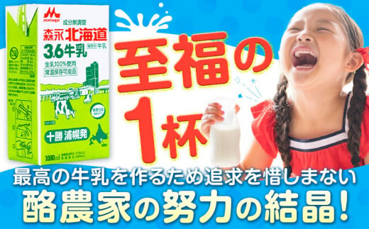 牛乳 北海道 森永北海道3.6牛乳 常温長期保存 大容量 1000ml×12本入り 1L 12L 十勝森永浦幌乳業 北海道 浦幌町 送料無料 乳 3.6 牛乳 ミルク 牛乳パック 濃厚 浦幌工場直送 常温保存 森永 十勝 お取り寄せ