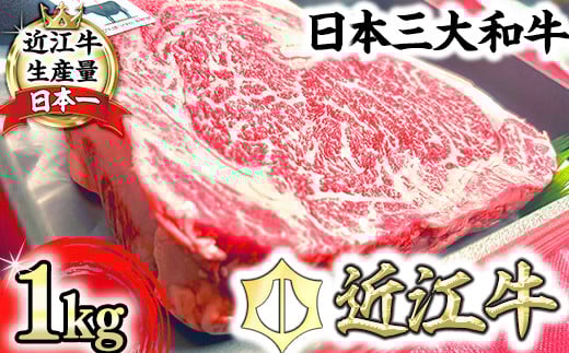 【定期便】近江牛定期便　塊肉　ブロック肉赤身霜降り食べ比べ　全2回【FO47U】