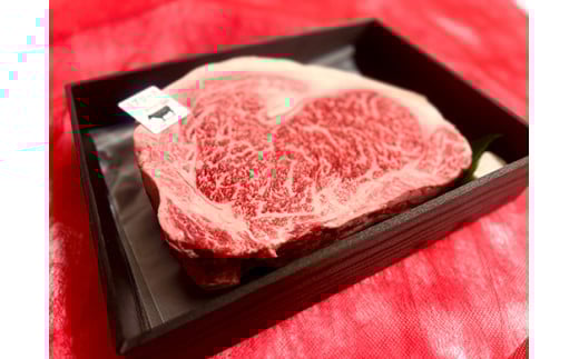【定期便】近江牛定期便　塊肉　ブロック肉赤身霜降り食べ比べ　全2回【FO47U】