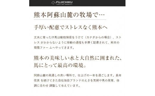 【熊本と畜】ふじ馬刺し 赤身霜降り堪能セット（大トロ、中トロ、ヒレ、ロース、上赤身各80g）