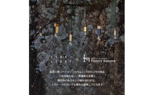 金属と木工職人が作り上げるシーリングライト CIRCLE＜Keyaki×パーカーライジングE17＞【1238069】