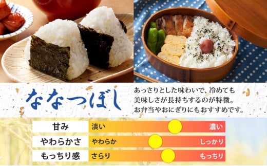 北海道 令和6年産 ななつぼし 4.5kg×2袋 計9kg 特A 精米 米 白米 ご飯 お米 ごはん 国産 ブランド米 おにぎり ふっくら 常温 お取り寄せ 産地直送 農家直送 送料無料  [№5783-0515]