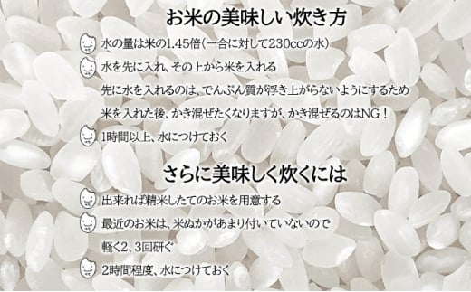 北海道 令和6年産 ななつぼし 4.5kg×2袋 計9kg 特A 精米 米 白米 ご飯 お米 ごはん 国産 ブランド米 おにぎり ふっくら 常温 お取り寄せ 産地直送 農家直送 送料無料  [№5783-0515]