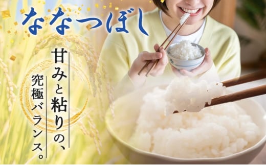 北海道 令和6年産 ななつぼし 4.5kg×2袋 計9kg 特A 精米 米 白米 ご飯 お米 ごはん 国産 ブランド米 おにぎり ふっくら 常温 お取り寄せ 産地直送 農家直送 送料無料  [№5783-0515]