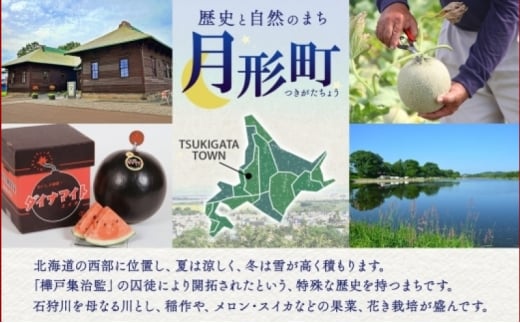 北海道 令和6年産 ななつぼし 4.5kg×2袋 計9kg 特A 精米 米 白米 ご飯 お米 ごはん 国産 ブランド米 おにぎり ふっくら 常温 お取り寄せ 産地直送 農家直送 送料無料  [№5783-0515]