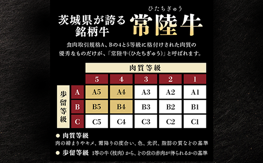 常陸牛 食べ比べ お楽しみ 定期便 【3ヶ月連続でお届け】 526