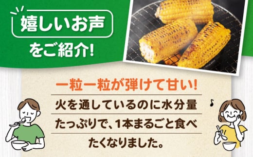  とうもろこし トウモロコシ 季節の野菜 夏野菜 北海道 野菜 先行予約 