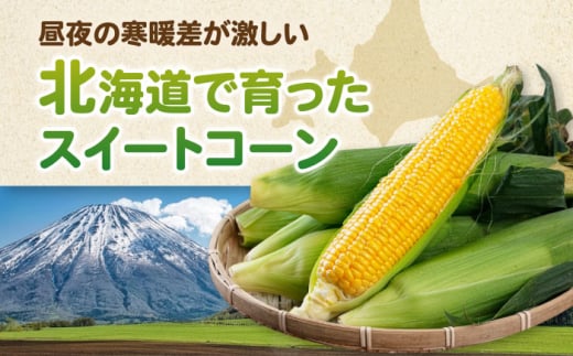  とうもろこし トウモロコシ 季節の野菜 夏野菜 北海道 野菜 先行予約 