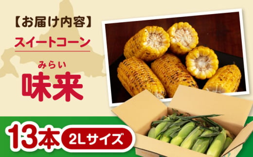  とうもろこし トウモロコシ 季節の野菜 夏野菜 北海道 野菜 先行予約 