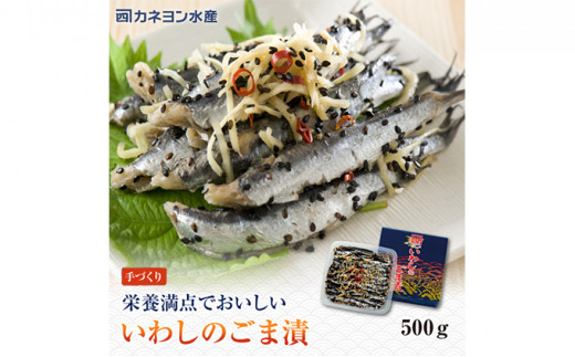 漬魚 ごま漬 セット 計1kg いわし こはだ おかず おつまみ つまみ 海鮮 魚介 魚介類 加工食品 醸造酢 生姜 唐辛子 黒煎りごま 人気の一品 酒の肴 [№5743-0107]