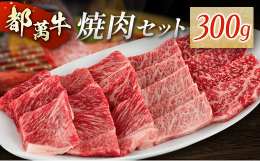 赤身主体の黒毛和牛＜都萬牛＞焼肉セット 300g【B575】