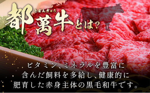 赤身主体の黒毛和牛＜都萬牛＞焼肉セット 300g【B575】