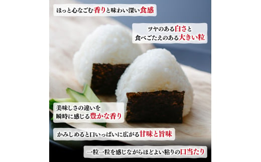 【 令和6年産 】 京都府産 米 京式部 2kg 2キロ 令和6年産 米 白米 精米 国産 こめ おこめ ブランド米 6000円 六千円 京都