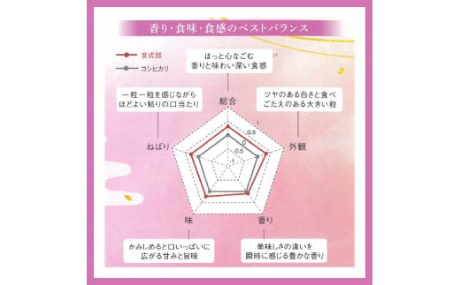 【 令和6年産 】 京都府産 米 京式部 2kg 2キロ 令和6年産 米 白米 精米 国産 こめ おこめ ブランド米 6000円 六千円 京都