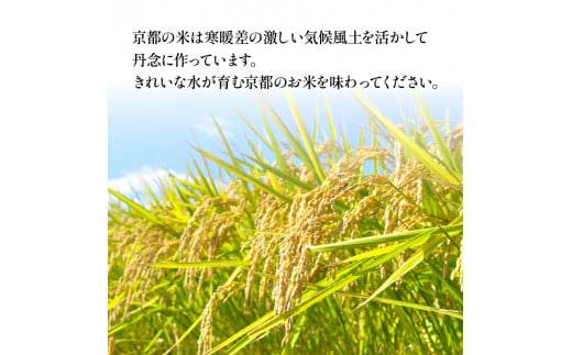 【 令和6年産 】 京都府産 米 京式部 2kg 2キロ 令和6年産 米 白米 精米 国産 こめ おこめ ブランド米 6000円 六千円 京都