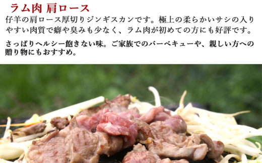 【3ヶ月定期便】味付けジンギスカンとラム肩ロース（各250g×2）セット 【 ふるさと納税 人気 おすすめ ランキング ジンギスカン 味付き 味付けジンギスカン ラムロース ラム肉 ラム肩ロース 定期便 北海道 室蘭市 送料無料 】 MROA064