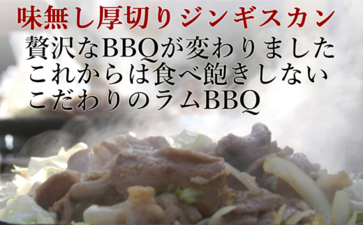 【3ヶ月定期便】味付けジンギスカンとラム肩ロース（各250g×2）セット 【 ふるさと納税 人気 おすすめ ランキング ジンギスカン 味付き 味付けジンギスカン ラムロース ラム肉 ラム肩ロース 定期便 北海道 室蘭市 送料無料 】 MROA064