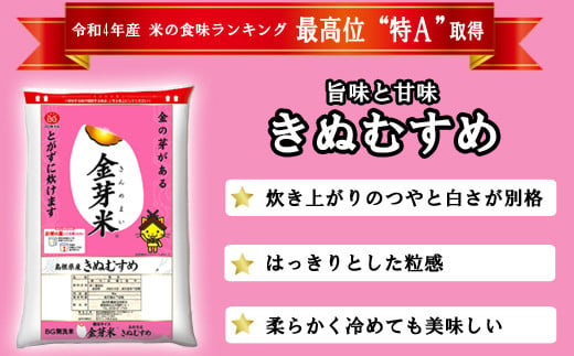 BG無洗米・金芽米きぬむすめ 5kg×3回 定期便【隔月】計量カップ付き【新米 令和6年産 2ヶ月に1回 6ヶ月 時短 健康】