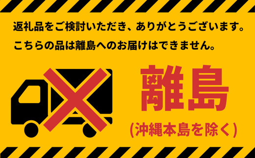 K1938 Yogibo Support ヨギボーサポート 【ワインレッド】