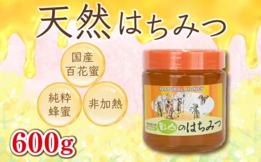 【8月発送】 はちみつ 蜂蜜 国産 600g 非加熱 瓶入り 百花蜜 百花蜂蜜 純粋 プレゼント 贈答用 徳島県 阿波市 影山養蜂研究所【 無添加 百花蜂蜜 百花はちみつ 純粋はちみつ 生はちみつ 天然はちみつ 天然蜂蜜 蜂蜜 はちみつ ハニー】