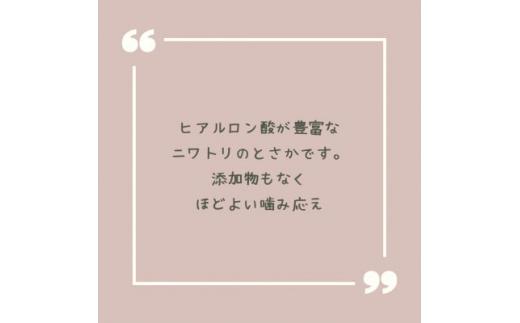 ＜完全無添加・国産・犬のおやつ＞デンタルケアとしても安心なカミカミを楽しめる「とさか大袋」200g【1420083】