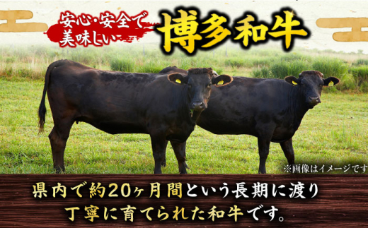 【全12回定期便】博多和牛100％！贅沢本格 手ごね ハンバーグ 10個 牛肉 ハンバーグ お惣菜 お弁当 お歳暮 お中元 贈答用 サーロイン 赤身 父の日 母の日 敬老の日 広川町 / 久田精肉店株式会社 [AFBV048]